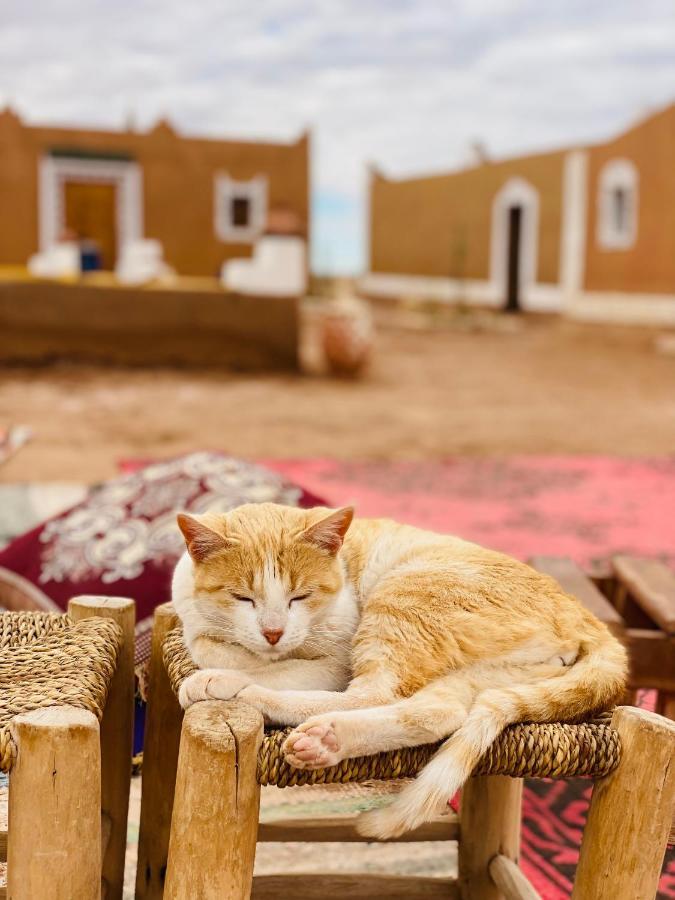 Desert Camp Chraika Campingplatz M’hamid El Ghizlane